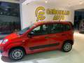 Fiat Panda 1.3 MJT 95 CV S&S Easy  tua da €119,00 mensili Rosso - thumbnail 6
