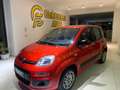 Fiat Panda 1.3 MJT 95 CV S&S Easy  tua da €119,00 mensili Rosso - thumbnail 7