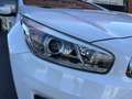 Kia Ceed / cee'd Pro_Cee´d 1.6CRDI VGT Drive 136 Blanco - thumbnail 21