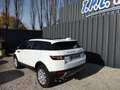 Land Rover Range Rover Evoque 2.0 TD4 150 BUSINESS BVA MARK IV Blanc - thumbnail 4