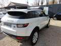Land Rover Range Rover Evoque 2.0 TD4 150 BUSINESS BVA MARK IV Blanc - thumbnail 6