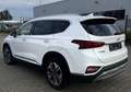 Hyundai SANTA FE Santa Fe Diesel 2WD Premium HUD ACC 360 PANO Alb - thumbnail 7