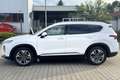 Hyundai SANTA FE Santa Fe Diesel 2WD Premium HUD ACC 360 PANO Alb - thumbnail 8