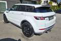 Land Rover Range Rover Evoque Dynamic Weiß - thumbnail 10