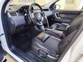 Land Rover Discovery Sport Discovery Sport 2.0TD4 HSE 4x4 Aut. 180 HSE Blanco - thumbnail 11