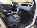 Land Rover Discovery Sport Discovery Sport 2.0TD4 HSE 4x4 Aut. 180 HSE Blanco - thumbnail 12