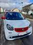 smart forFour smart forfour electric drive EQ Weiß - thumbnail 1