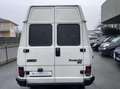 Fiat Ducato 2.5 D 4x4 Steyr-Puch L1 H2 - thumbnail 5