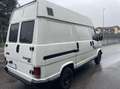 Fiat Ducato 2.5 D 4x4 Steyr-Puch L1 H2 - thumbnail 6