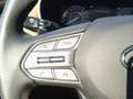 Hyundai SANTA FE 1.6 TGDi 265CV Verde - thumbnail 19