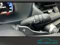 Toyota RAV 4 2.5 Style MJ25 Smart Entry*Leder*Totwinkel Blue - thumbnail 19