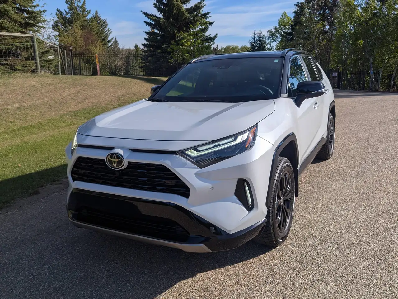 2025 Toyota RAV 4