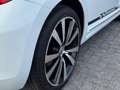Volkswagen Beetle 2.0 TSI Sport Leder Navi Fender Bianco - thumbnail 10