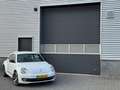 Volkswagen Beetle 2.0 TSI Sport Leder Navi Fender Bianco - thumbnail 5