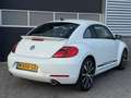 Volkswagen Beetle 2.0 TSI Sport Leder Navi Fender Bianco - thumbnail 9