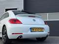 Volkswagen Beetle 2.0 TSI Sport Leder Navi Fender Bianco - thumbnail 8