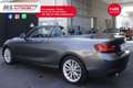 BMW 218 BMW Serie 2 Cabrio 218d Cabrio Luxury PROMOZIONE Grigio - thumbnail 3