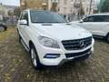 Mercedes-Benz ML 350 BlueEfficiency / PANORAMASD/ KAMERA/ NAVI Weiß - thumbnail 1