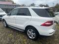 Mercedes-Benz ML 350 BlueEfficiency / PANORAMASD/ KAMERA/ NAVI Weiß - thumbnail 16