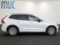 Volvo XC60 2.0 Diesel  R Design~1steHand~gepflegt Weiß - thumbnail 4