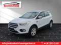 Ford Kuga Trend Weiß - thumbnail 1