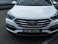 Hyundai SANTA FE Santa Fe blue 2.2 CRDI 4WD Automatik Premium Wit - thumbnail 10