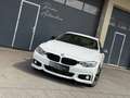 BMW 430 d F33 M-Sport Cabrio Aut. LED* NAVI* HARMAN KARDON* ab € 249,-* Weiß - thumbnail 2