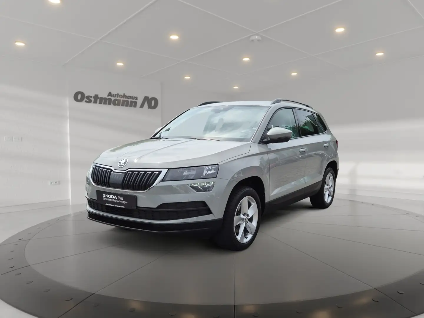 Skoda Karoq Ambition 85kw TDI DSG *SHZ*RFK*AHK*NAVI*DAB Grau - 2