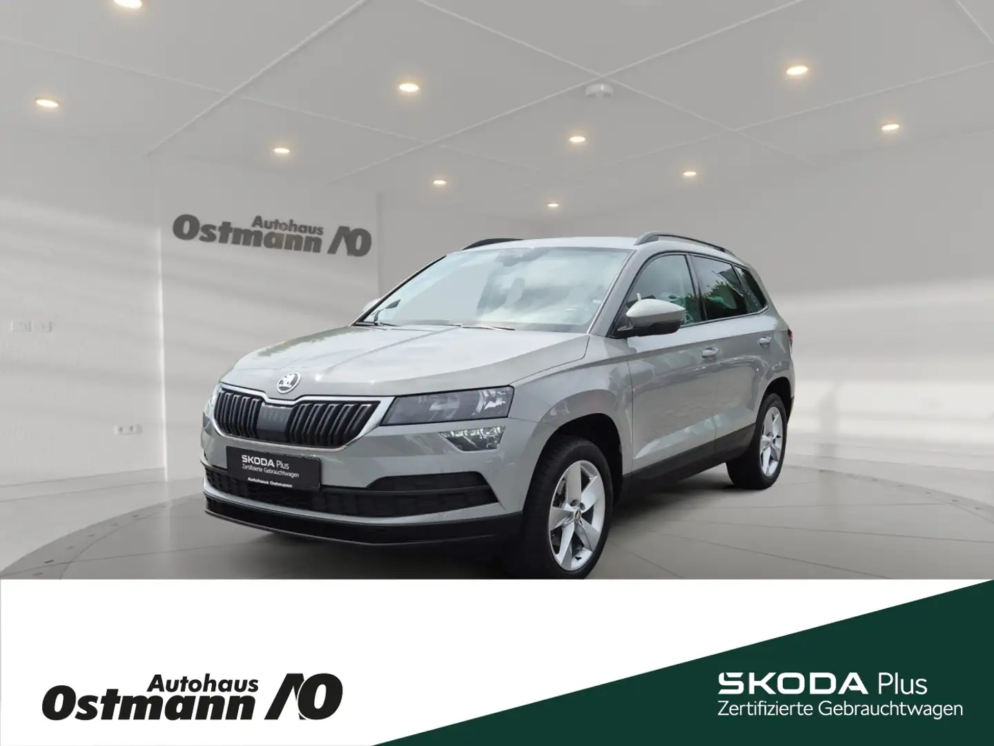 Skoda Karoq Ambition 85kw TDI DSG *SHZ*RFK*AHK*NAVI*DAB Grau - 1