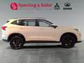 GWM HAVAL H6 HAVAL H6 Premium Weiß - thumbnail 6