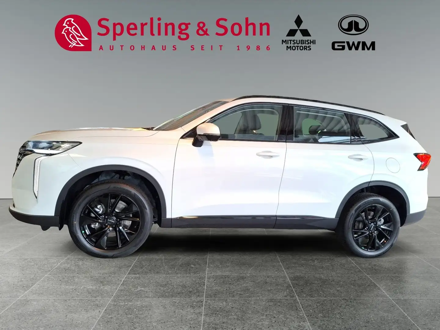 GWM HAVAL H6 HAVAL H6 Premium Weiß - 2