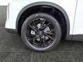 GWM HAVAL H6 HAVAL H6 Premium Weiß - thumbnail 14