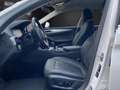BMW 530 d VollLeder*Kamera*Led*LiveCP*Navi*DAB*Winte Weiß - thumbnail 11