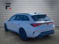 CUPRA Leon 1.5 eTSI DSG Weiß - thumbnail 7