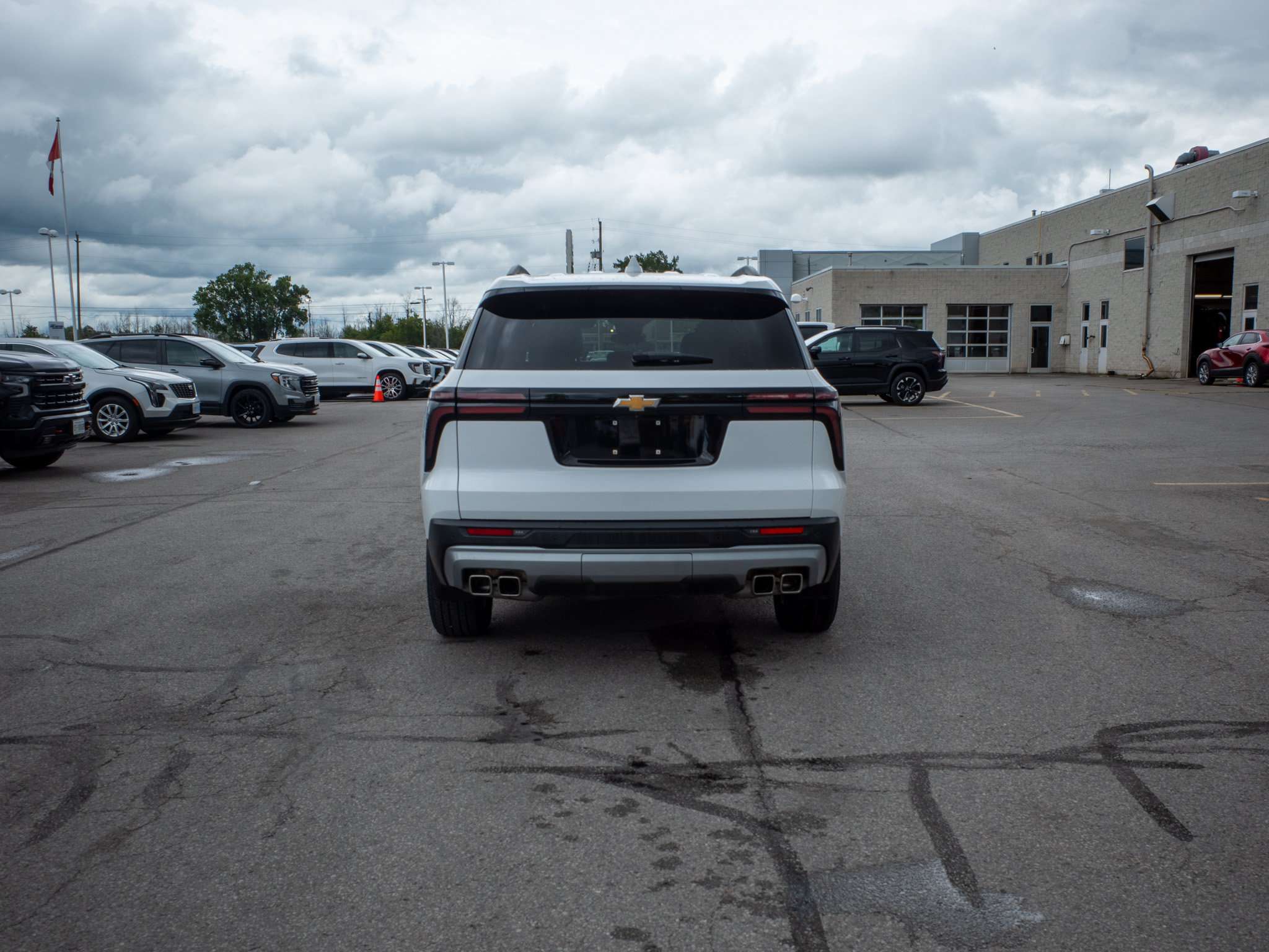 Image 6
