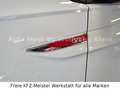 Volkswagen Polo VI 2.0 GTI IQ.Drive LED, Navi, SHZ, Sport Weiß - thumbnail 13