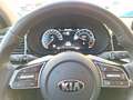 Kia XCeed Platinum Leder Panodach Sitzbelüftung Navi Digital Argent - thumbnail 15