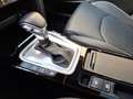 Kia XCeed Platinum Leder Panodach Sitzbelüftung Navi Digital Argent - thumbnail 22