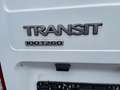 Ford Transit Kasten FT 260 Kühlwagen Scheckheft Blanc - thumbnail 10