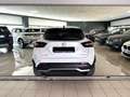 Nissan Juke Juke 1.0 DIG-T 114 CV N-Design Propilot Pack Weiß - thumbnail 5