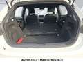 MG MG3 HEV LUX 360 Keyless Shz+Lhz ACC Kamera top Weiß - thumbnail 12