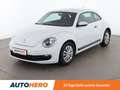 Volkswagen Beetle 1.2 TSI BlueMotion Tech *TEMPO*PDC*KLIMA* White - thumbnail 1