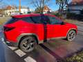 Hyundai TUCSON 1.6 T-GDI Blackline ACC AUT Akustikglas Rot - thumbnail 3