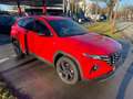 Hyundai TUCSON 1.6 T-GDI Blackline ACC AUT Akustikglas Rot - thumbnail 2
