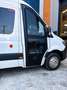 Mercedes-Benz Sprinter OLEASTER SCHOOL LAND  XL 19+1+1 Weiß - thumbnail 1