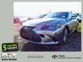 Lexus ES 300 h Luxury Line Navigation, Matrix-LED Argento - thumbnail 1