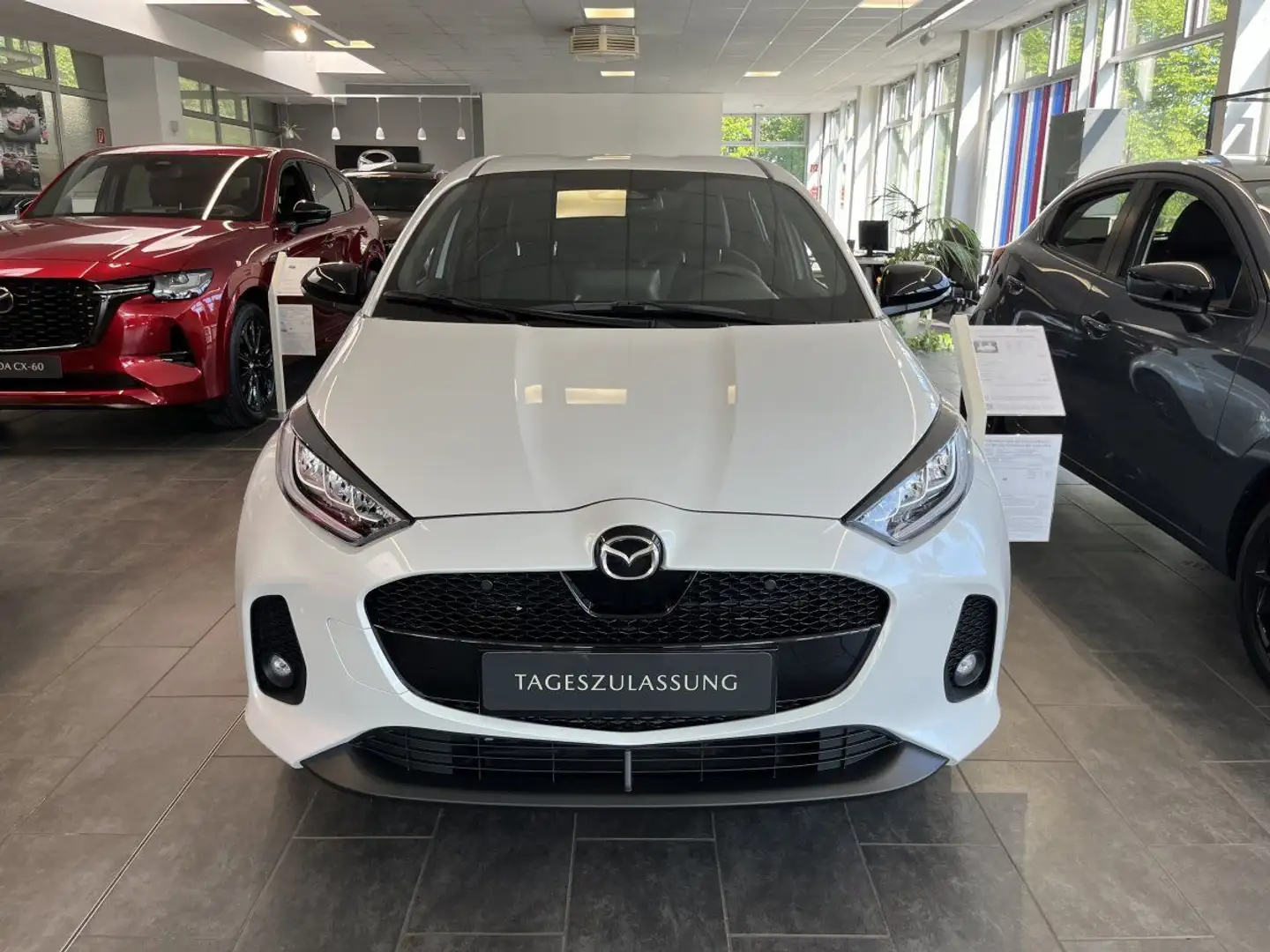 Mazda 2 Hybrid 1.5 116PS Homura LED Navi RFK Weiß - 2