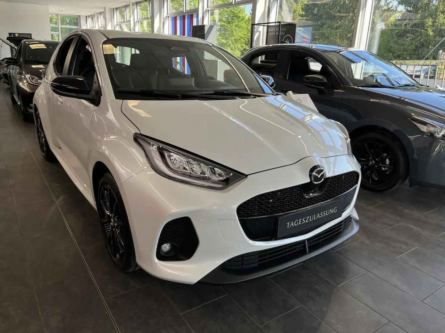 Mazda 2 Hybrid 1.5 116PS Homura LED Navi RFK Weiß - 1