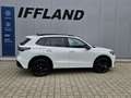 Volkswagen Tiguan 2.0 TDI*4Motion*R-Line*AHK*STDHZ*Panorama* Weiß - thumbnail 4
