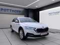 Skoda Octavia Combi 2.0 TDI DSG 4x4 SCOUT NAVI AHK LED SHZG Weiß - thumbnail 6